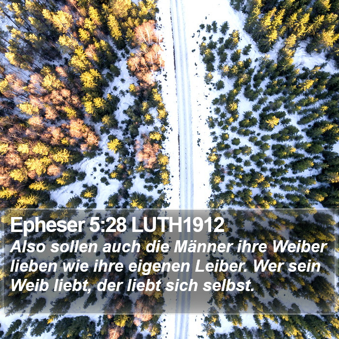 Epheser 5:28 LUTH1912 Bible Study