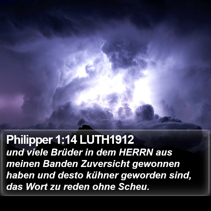 Philipper 1:14 LUTH1912 Bible Study