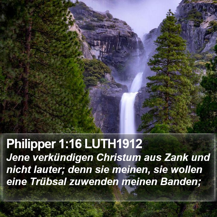 Philipper 1:16 LUTH1912 Bible Study