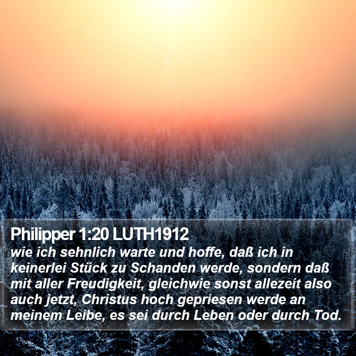 Philipper 1:20 LUTH1912 Bible Study