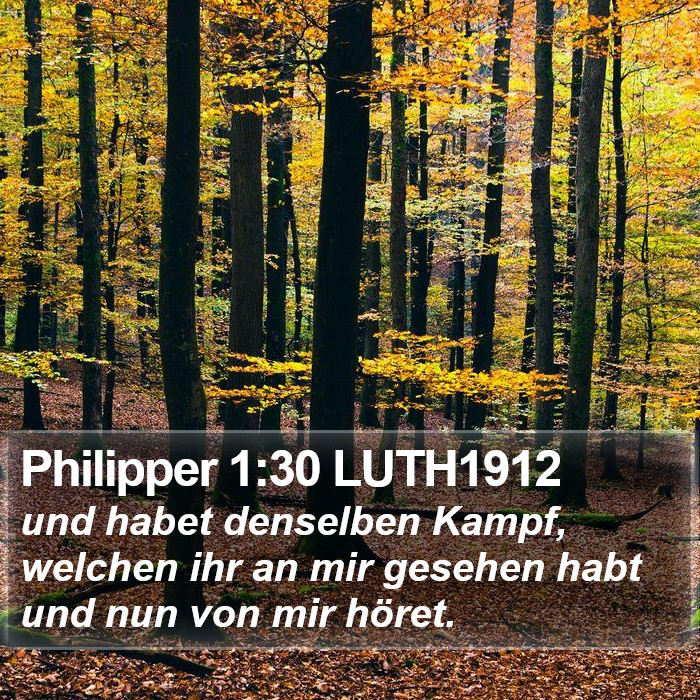 Philipper 1:30 LUTH1912 Bible Study