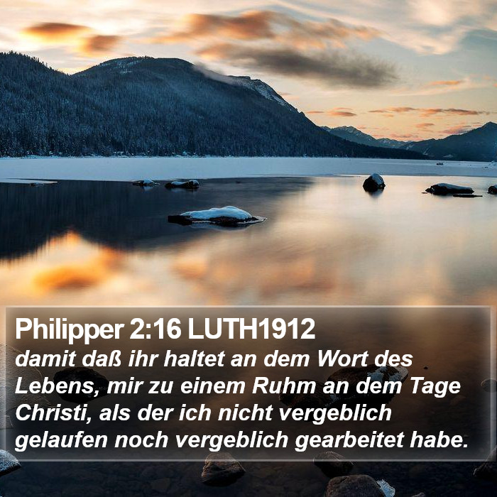 Philipper 2:16 LUTH1912 Bible Study