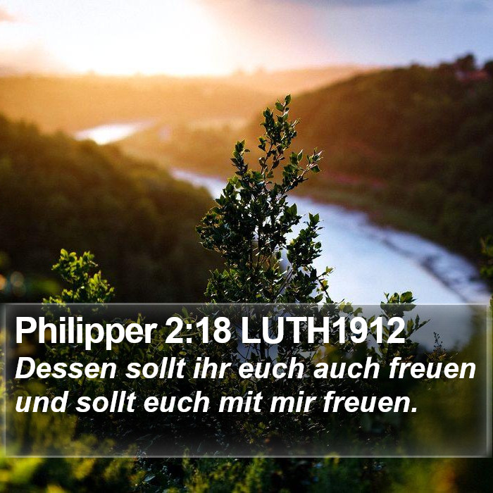 Philipper 2:18 LUTH1912 Bible Study