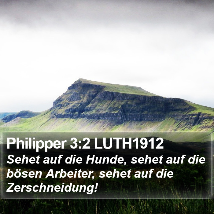 Philipper 3:2 LUTH1912 Bible Study