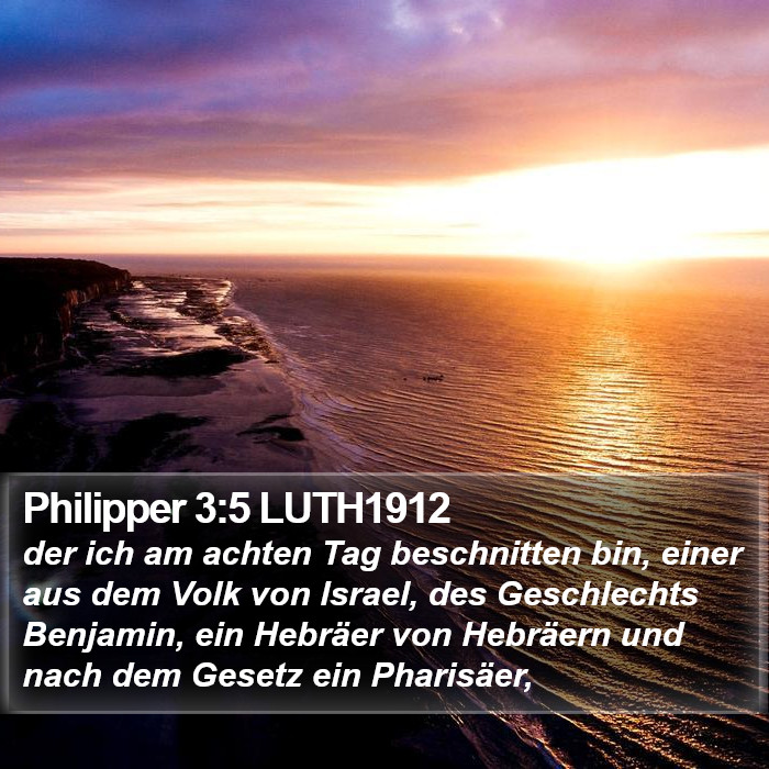 Philipper 3:5 LUTH1912 Bible Study