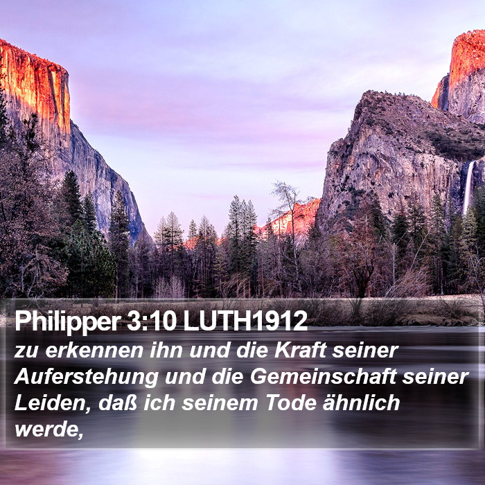 Philipper 3:10 LUTH1912 Bible Study