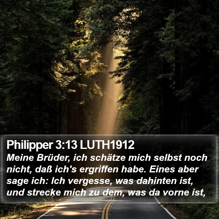 Philipper 3:13 LUTH1912 Bible Study
