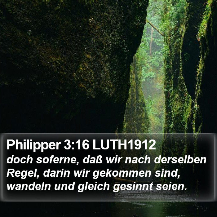 Philipper 3:16 LUTH1912 Bible Study