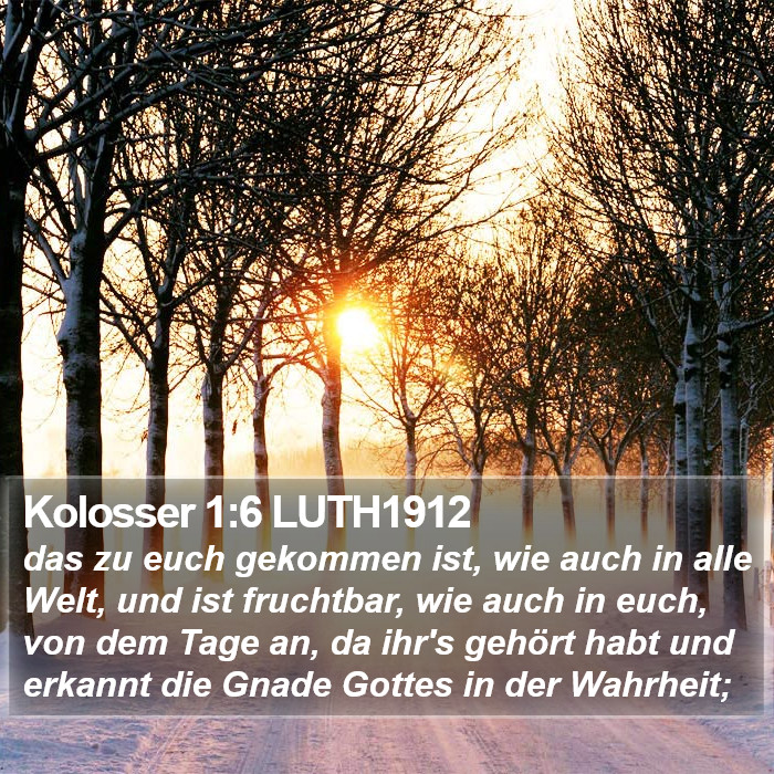 Kolosser 1:6 LUTH1912 Bible Study