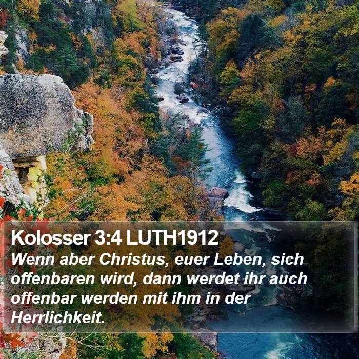 Kolosser 3:4 LUTH1912 Bible Study