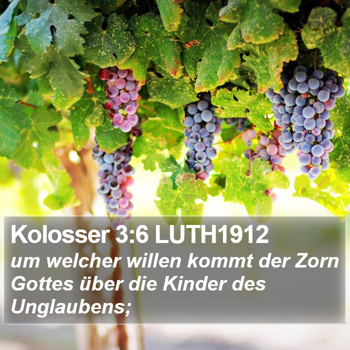 Kolosser 3:6 LUTH1912 Bible Study