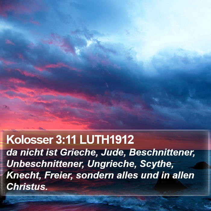 Kolosser 3:11 LUTH1912 Bible Study