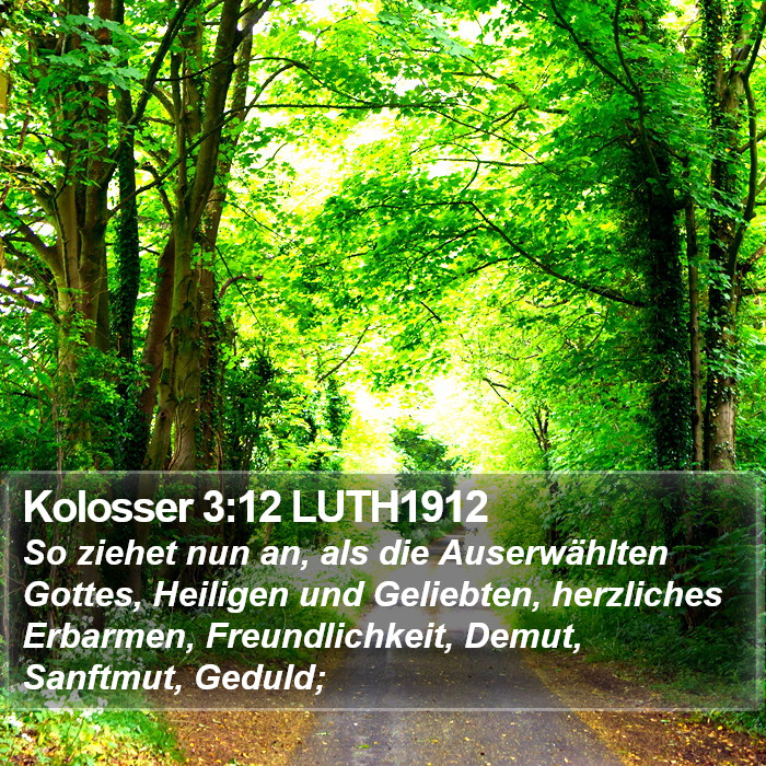 Kolosser 3:12 LUTH1912 Bible Study