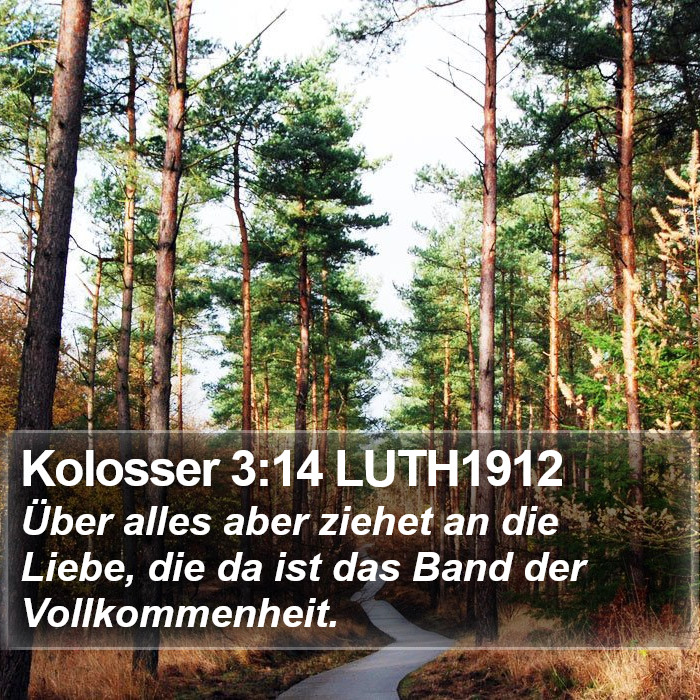 Kolosser 3:14 LUTH1912 Bible Study