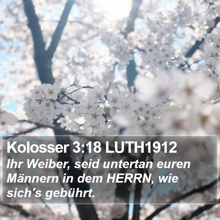 Kolosser 3:18 LUTH1912 Bible Study
