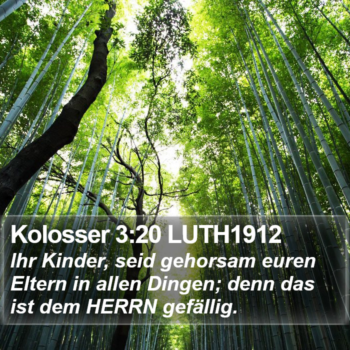 Kolosser 3:20 LUTH1912 Bible Study