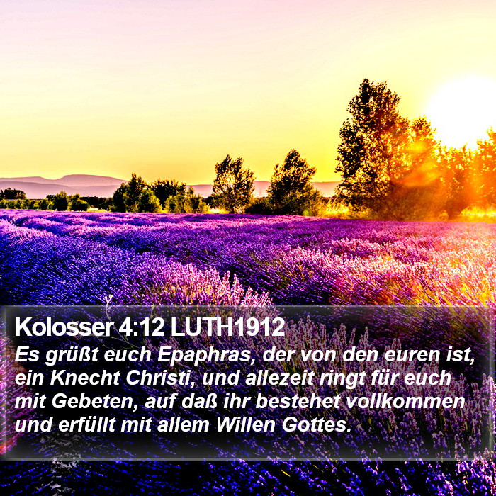 Kolosser 4:12 LUTH1912 Bible Study