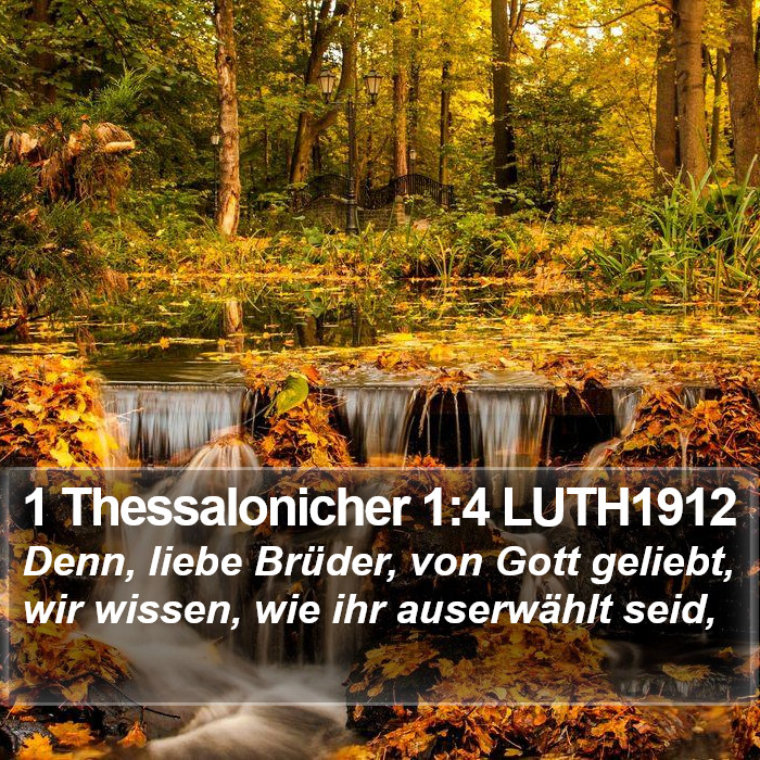 1 Thessalonicher 1:4 LUTH1912 Bible Study