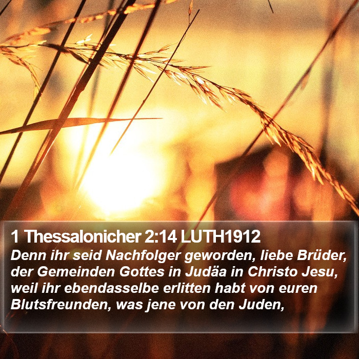 1 Thessalonicher 2:14 LUTH1912 Bible Study