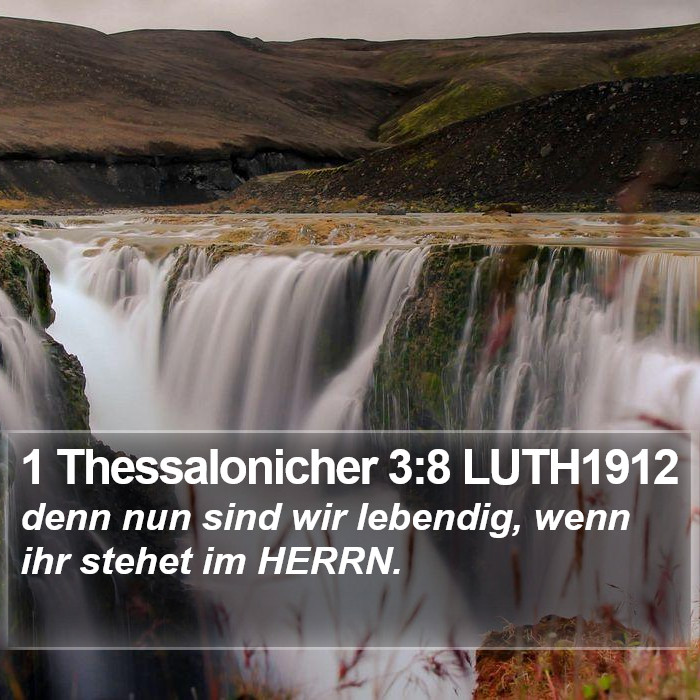 1 Thessalonicher 3:8 LUTH1912 Bible Study