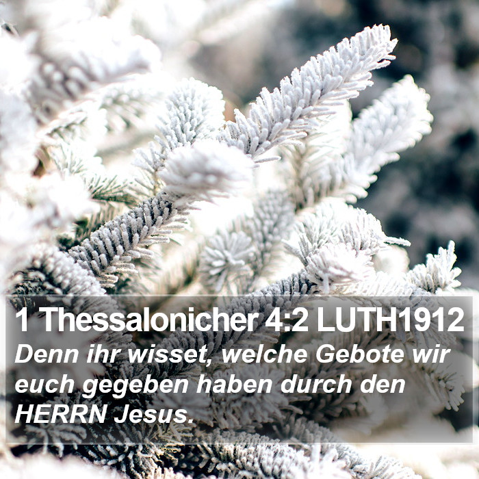 1 Thessalonicher 4:2 LUTH1912 Bible Study