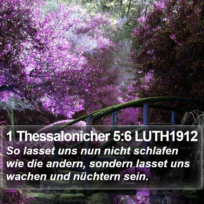 1 Thessalonicher 5:6 LUTH1912 Bible Study