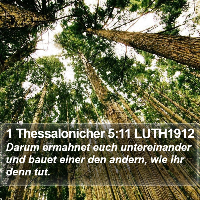 1 Thessalonicher 5:11 LUTH1912 Bible Study