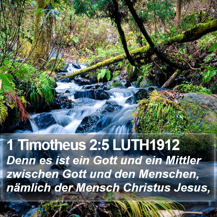 1 Timotheus 2:5 LUTH1912 Bible Study