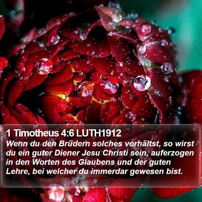 1 Timotheus 4:6 LUTH1912 Bible Study