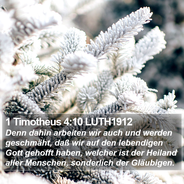 1 Timotheus 4:10 LUTH1912 Bible Study