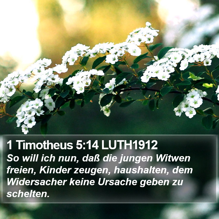 1 Timotheus 5:14 LUTH1912 Bible Study