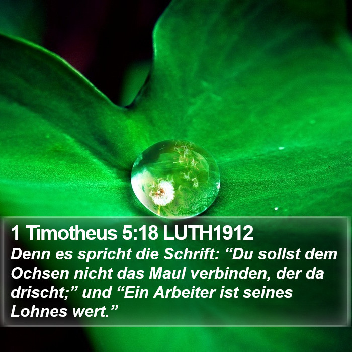 1 Timotheus 5:18 LUTH1912 Bible Study