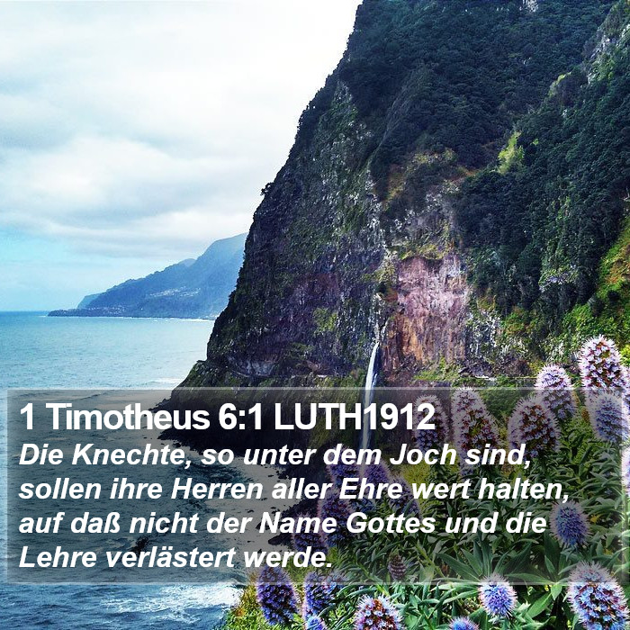 1 Timotheus 6:1 LUTH1912 Bible Study