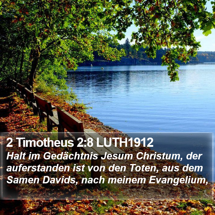 2 Timotheus 2:8 LUTH1912 Bible Study