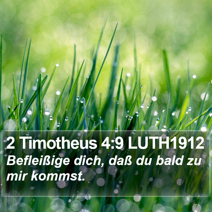 2 Timotheus 4:9 LUTH1912 Bible Study