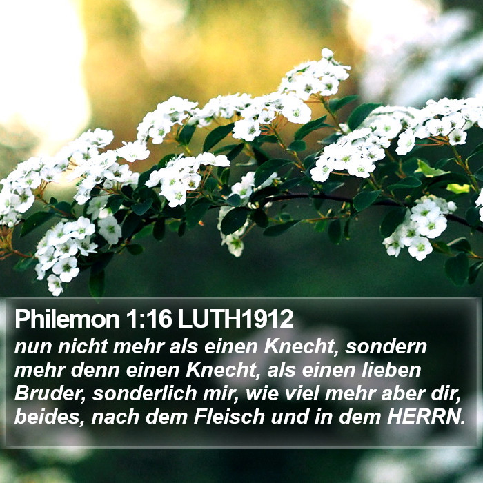 Philemon 1:16 LUTH1912 Bible Study