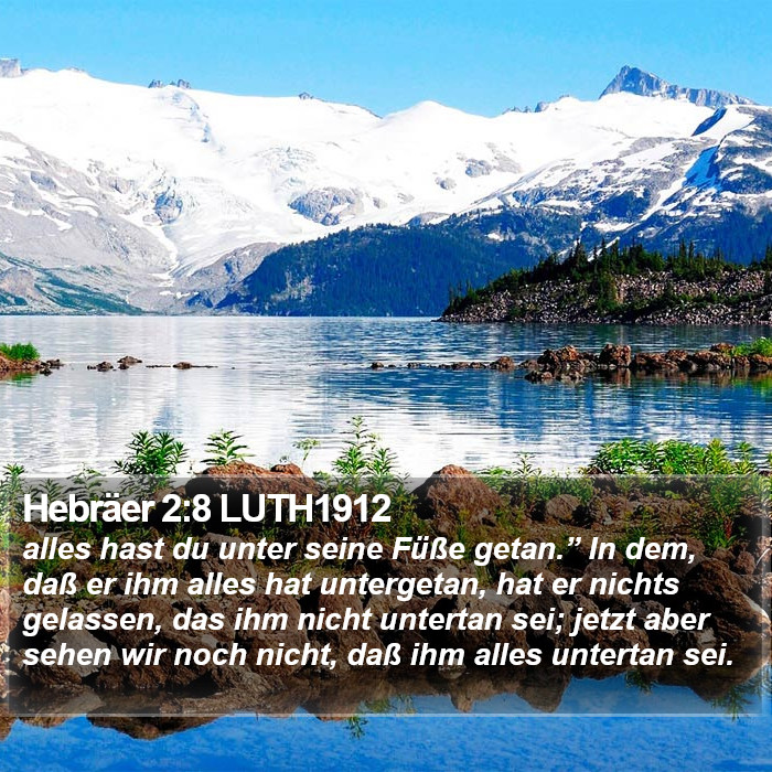 Hebräer 2:8 LUTH1912 Bible Study