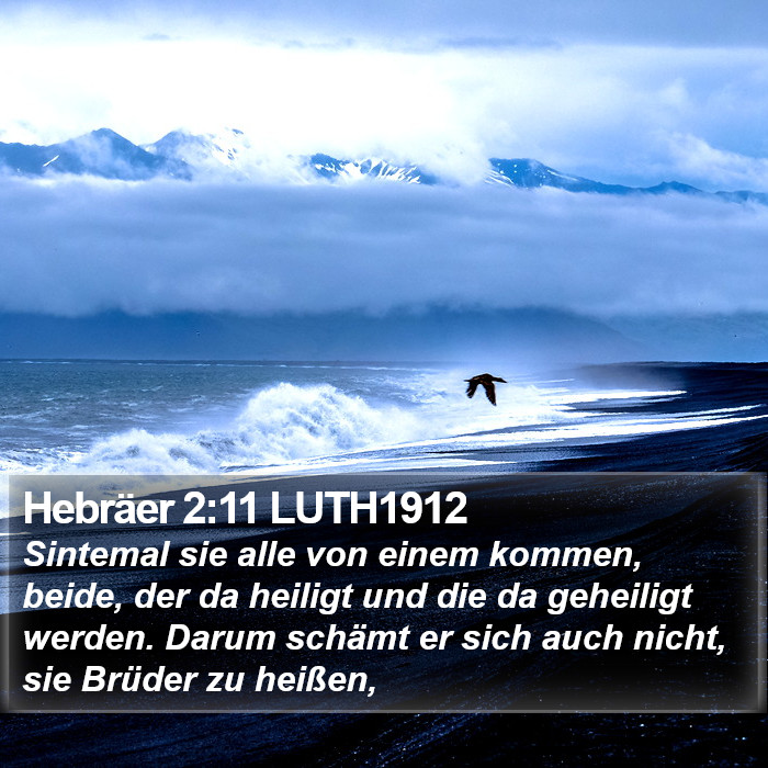 Hebräer 2:11 LUTH1912 Bible Study