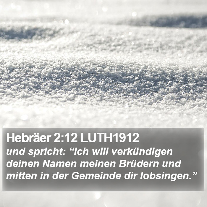 Hebräer 2:12 LUTH1912 Bible Study