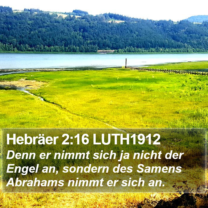 Hebräer 2:16 LUTH1912 Bible Study