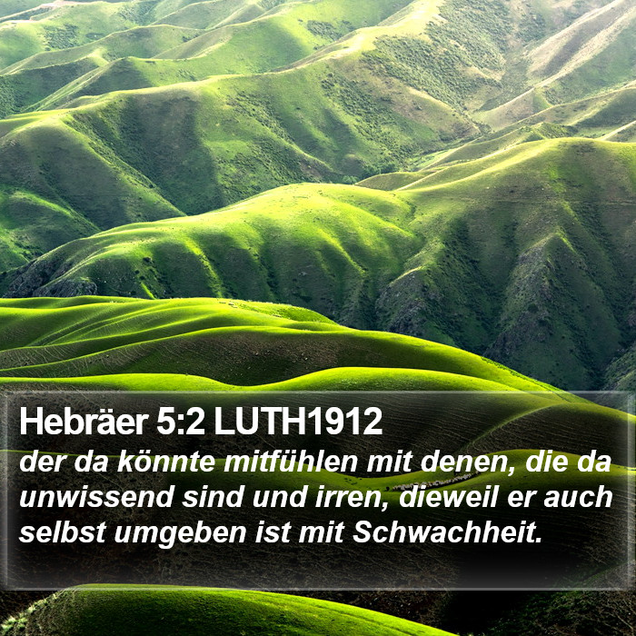 Hebräer 5:2 LUTH1912 Bible Study