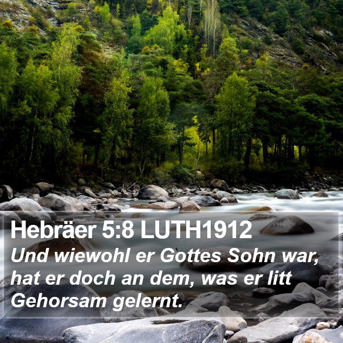 Hebräer 5:8 LUTH1912 Bible Study