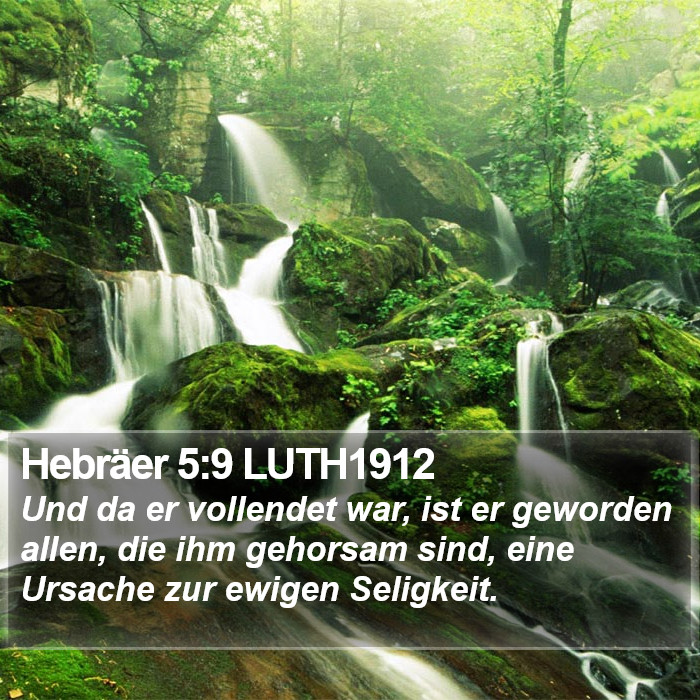 Hebräer 5:9 LUTH1912 Bible Study