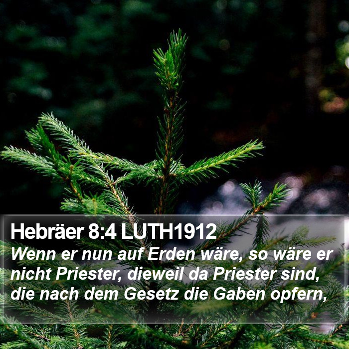 Hebräer 8:4 LUTH1912 Bible Study