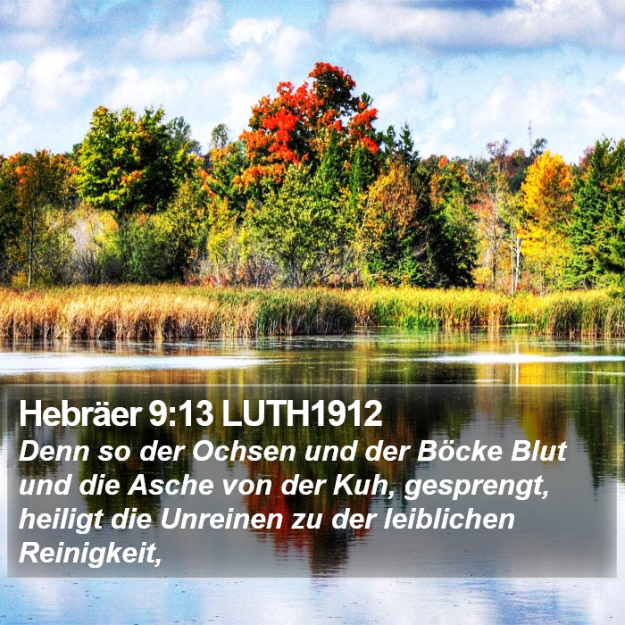 Hebräer 9:13 LUTH1912 Bible Study