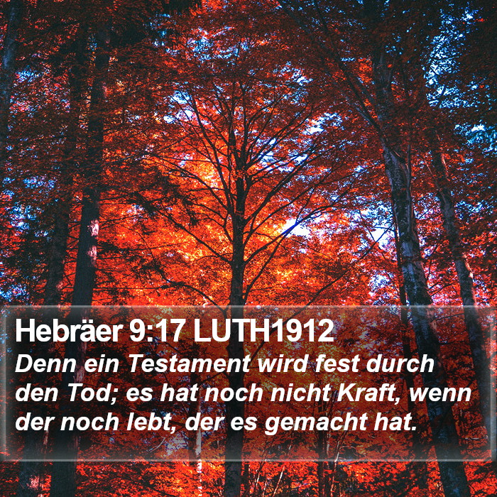 Hebräer 9:17 LUTH1912 Bible Study