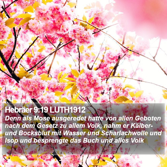 Hebräer 9:19 LUTH1912 Bible Study