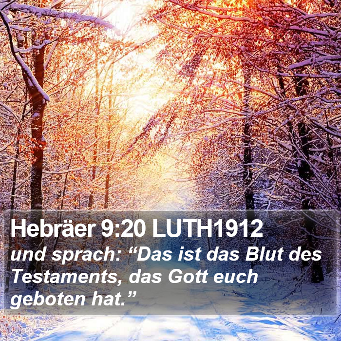 Hebräer 9:20 LUTH1912 Bible Study