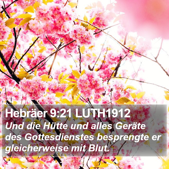 Hebräer 9:21 LUTH1912 Bible Study