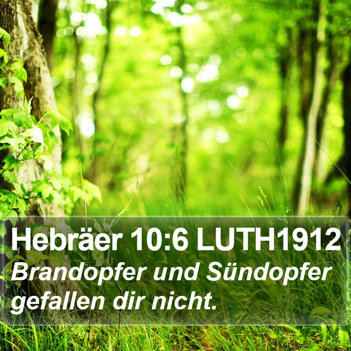 Hebräer 10:6 LUTH1912 Bible Study